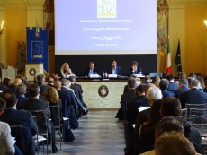 Anci consiglio