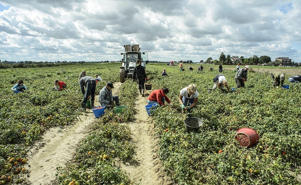 agricoltura