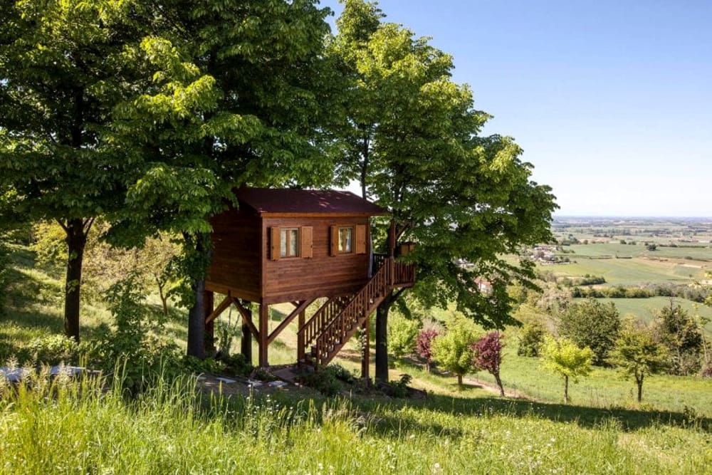 casa albero