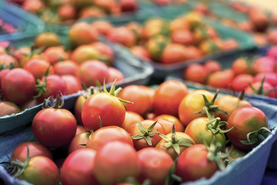 tomato 2556426 960 720
